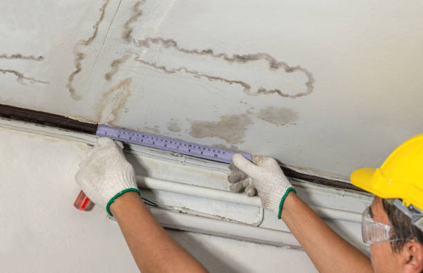 Reliable Structural Drying contractor in Columbiaville, MI by Water Damage Irwin